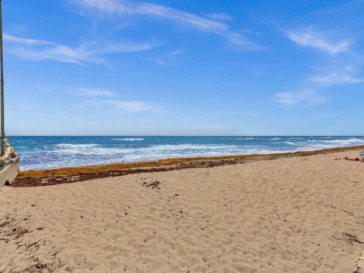 Dania Beach Christmas Getaway Gulfstream Art Ngoại thất bức ảnh